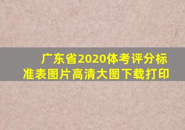 广东省2020体考评分标准表图片高清大图下载打印