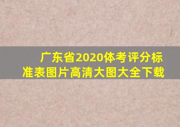 广东省2020体考评分标准表图片高清大图大全下载