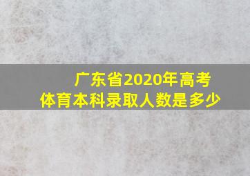 广东省2020年高考体育本科录取人数是多少