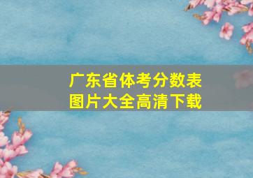 广东省体考分数表图片大全高清下载