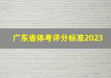 广东省体考评分标准2023