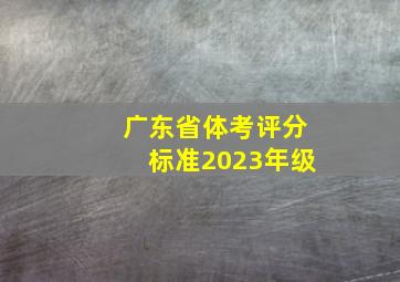 广东省体考评分标准2023年级