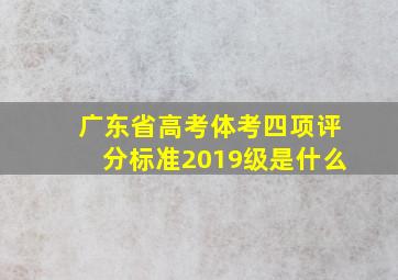 广东省高考体考四项评分标准2019级是什么