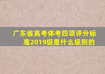 广东省高考体考四项评分标准2019级是什么级别的