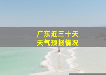 广东近三十天天气预报情况