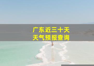 广东近三十天天气预报查询