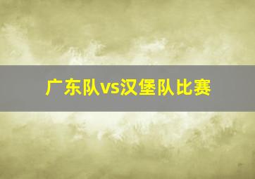 广东队vs汉堡队比赛