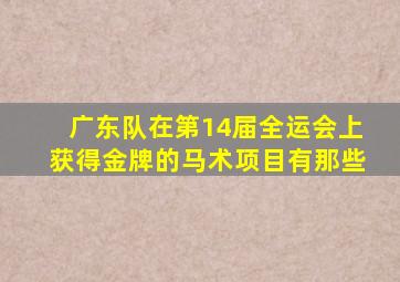 广东队在第14届全运会上获得金牌的马术项目有那些