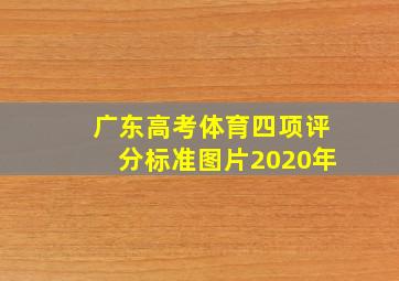 广东高考体育四项评分标准图片2020年