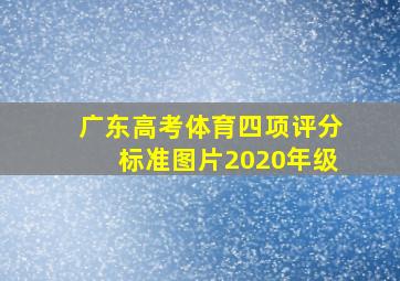 广东高考体育四项评分标准图片2020年级