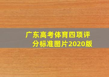 广东高考体育四项评分标准图片2020版