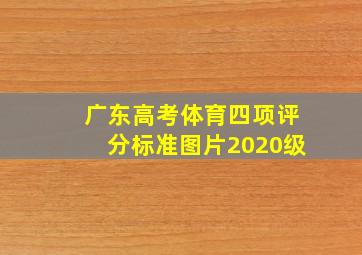 广东高考体育四项评分标准图片2020级