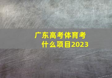 广东高考体育考什么项目2023