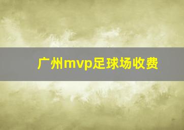 广州mvp足球场收费