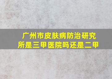 广州市皮肤病防治研究所是三甲医院吗还是二甲