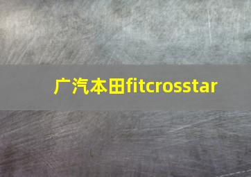 广汽本田fitcrosstar