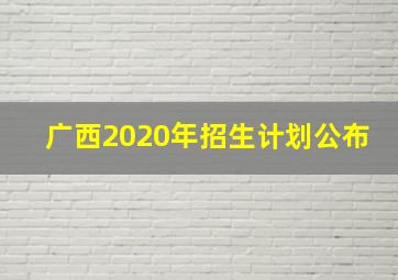 广西2020年招生计划公布