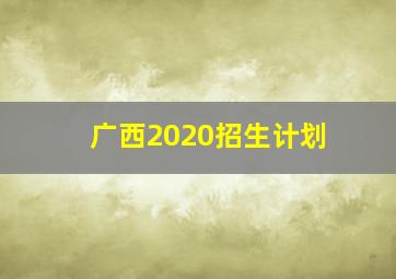 广西2020招生计划