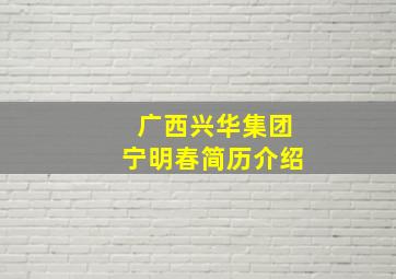 广西兴华集团宁明春简历介绍