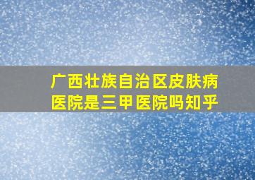 广西壮族自治区皮肤病医院是三甲医院吗知乎