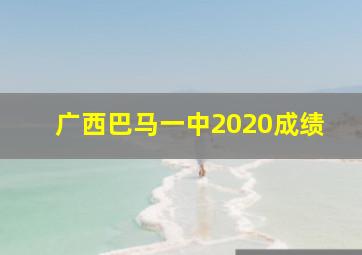 广西巴马一中2020成绩