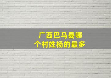 广西巴马县哪个村姓杨的最多