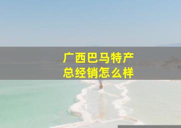 广西巴马特产总经销怎么样