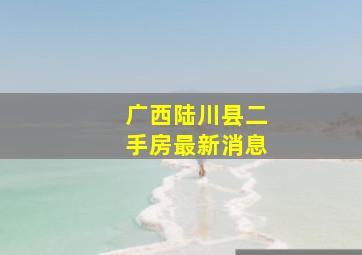 广西陆川县二手房最新消息