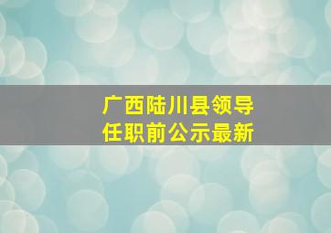 广西陆川县领导任职前公示最新