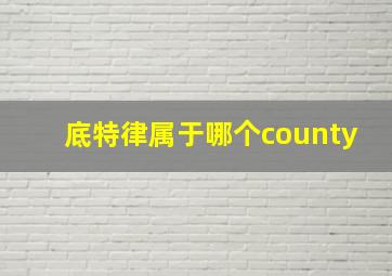 底特律属于哪个county