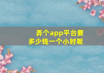 弄个app平台要多少钱一个小时呢