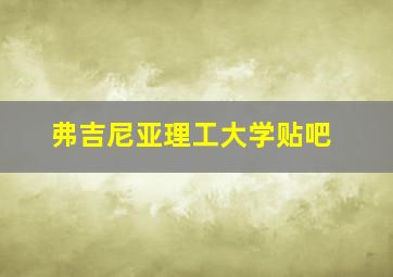 弗吉尼亚理工大学贴吧