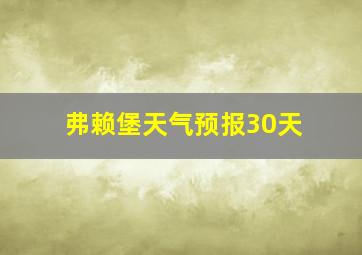 弗赖堡天气预报30天