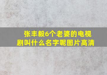 张丰毅6个老婆的电视剧叫什么名字呢图片高清