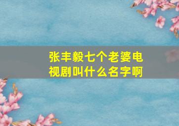 张丰毅七个老婆电视剧叫什么名字啊