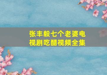 张丰毅七个老婆电视剧吃醋视频全集