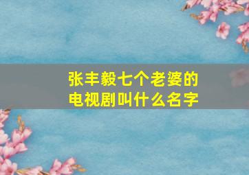 张丰毅七个老婆的电视剧叫什么名字