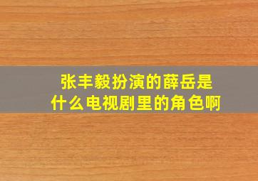 张丰毅扮演的薛岳是什么电视剧里的角色啊