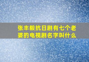 张丰毅抗日剧有七个老婆的电视剧名字叫什么