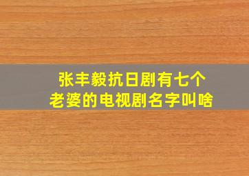 张丰毅抗日剧有七个老婆的电视剧名字叫啥