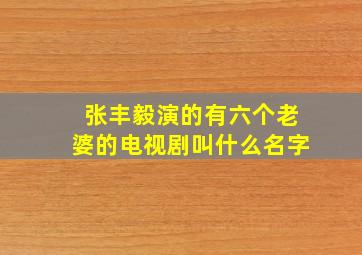 张丰毅演的有六个老婆的电视剧叫什么名字