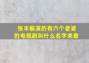 张丰毅演的有六个老婆的电视剧叫什么名字来着