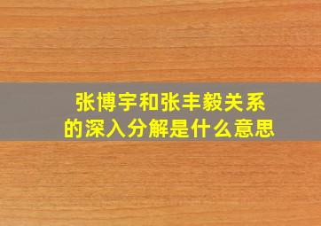 张博宇和张丰毅关系的深入分解是什么意思