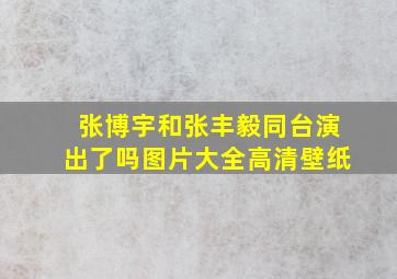 张博宇和张丰毅同台演出了吗图片大全高清壁纸