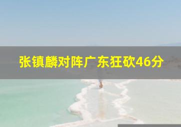 张镇麟对阵广东狂砍46分