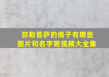 弥勒菩萨的偈子有哪些图片和名字呢视频大全集