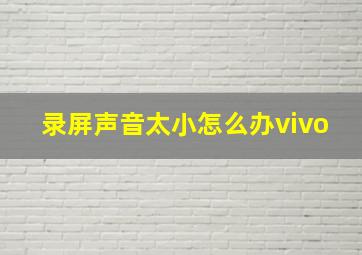 录屏声音太小怎么办vivo