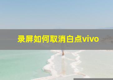 录屏如何取消白点vivo