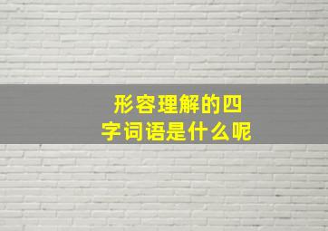 形容理解的四字词语是什么呢