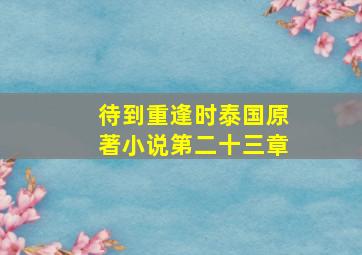 待到重逢时泰国原著小说第二十三章